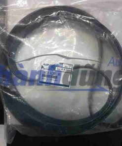 Dây curoa tổng Ford Ranger