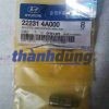 CON ĐỘI THỦY HYUNDAI PORTER 2