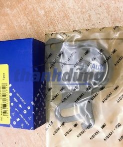 BI TĂNG CAM XE HYUNDAI PORTER 2