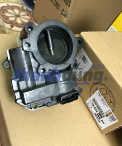 Cụm bướm ga Peugeot 308