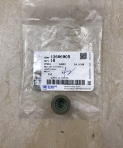 PHỚT GHÍT XUPAP VINFAST FADIL 2020 | 12666905