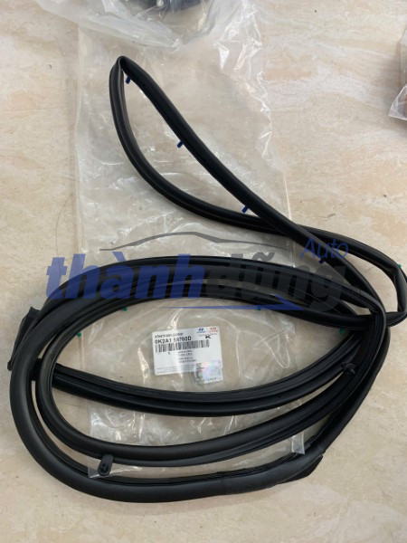z6027656691174_8696df0ad6d35b793e0b943e04557489 GIOĂNG CÁNH CỬA TRƯỚC XE KIA SPECTRA 2005 | 0K2A158760D
