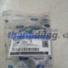 XÍCH CAM FORD FOCUS 2.0 2005-2011 | 1S7G6268BC