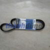 DÂY CUROA MÁY PHÁT FORD FOCUS 2005-2012 | AM556C301AA