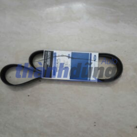 DÂY CUROA MÁY PHÁT FORD FOCUS 2005-2012 | AM556C301AA