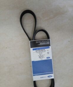 DÂY CUROA MÁY PHÁT FORD FOCUS 2005-2012 | AM556C301AA
