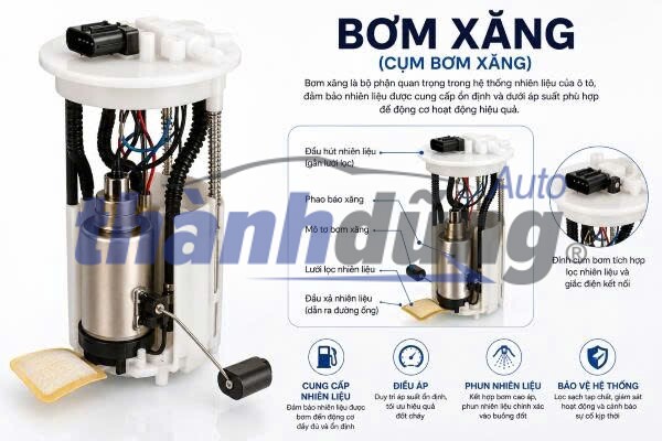 Bao Lâu Nên Thay Bơm Xăng Ô Tô? Dấu Hiệu Cho Thấy Đã Đến Lúc Thay