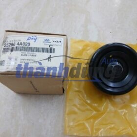 BI TỲ TỔNG XE HYUNDAI STAREX 2009 | 252864A020